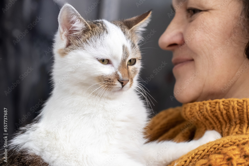 A woman holds a cute cat in her arms. A cat in the arms of an elderly woman A woman holds a cute cat in her arms. A cat in the arms of an elderly woman