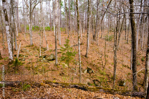 High Falls State Park, GA