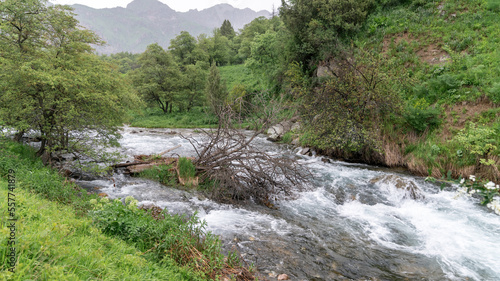 River in Sary-Chelek Nature Reserve landscape, a protected area located in the Kyrgyzstan. It is home to a diverse range of plant and animal species