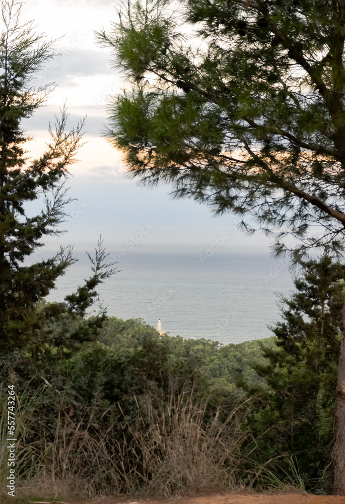 Cap Caxine lighthouse seen from the Bainem forest in Hammamet, Algiers. Aerial view through the tree leaves with a cloudy sky in golden hour morning sunrise. Calm mediterranean sea and blurred horizon