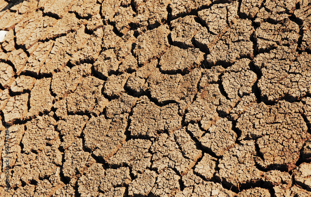 Fototapeta premium Trockene Erde mit Rissen