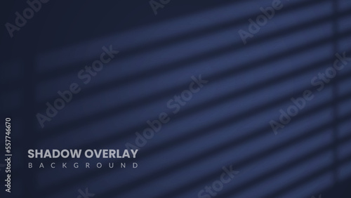 Realistic shadow overlay background. Aesthetic dark room interior with moonlight coming in through the window blinds