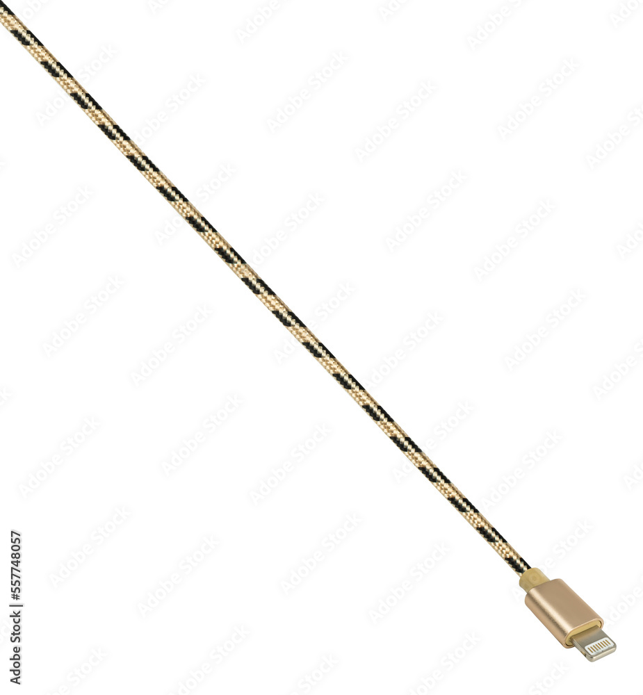 Fototapeta premium cable and connector for Lightning