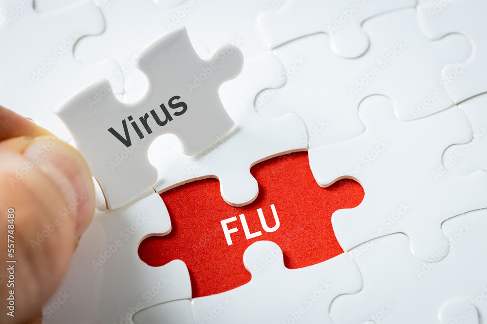 Fototapeta premium Influenza virus, Acute seasonal, autumn-winter disease, caused by influenza virus type A or B. dangerous to health, Health concept, Lettering on puzzle pieces