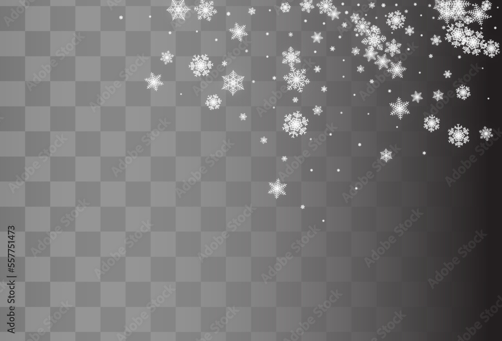 White Snowflake Vector Transparent Background. White Snowflake Vector Transparent Background.