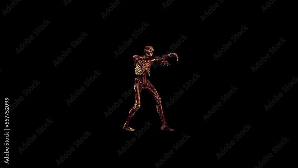 Zombie Walk Transparent Alpha Video Animation Zombie Walk Transparent Alpha Video Animation