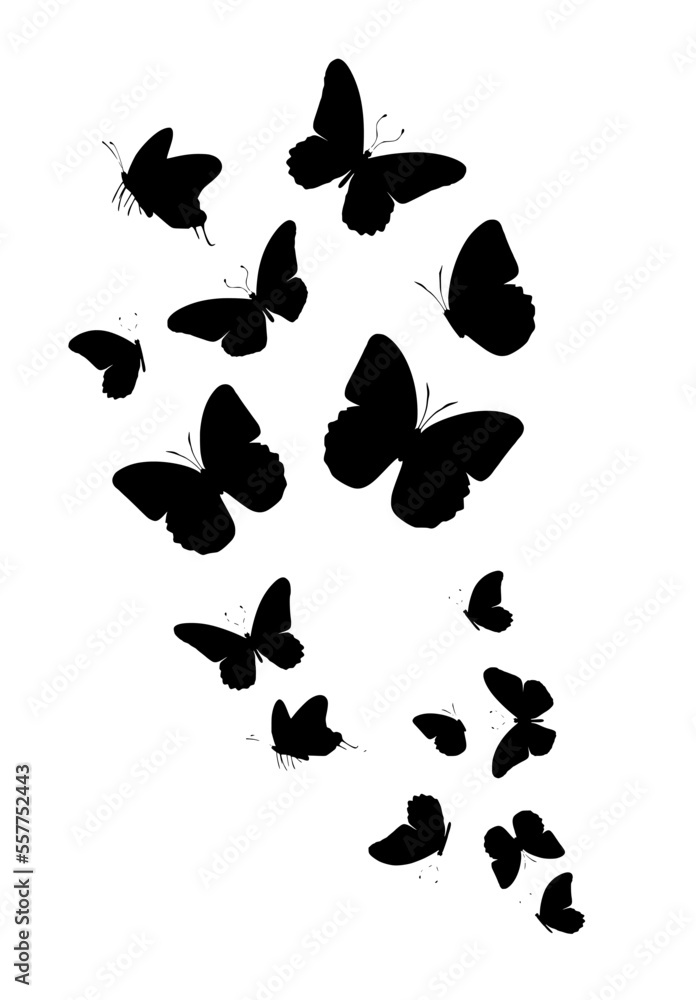 Flock of silhouette black butterflies on white background. Vector Flock of silhouette black butterflies on white background. Vector