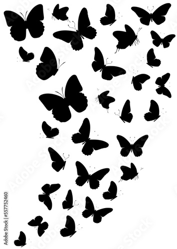 Flock of silhouette black butterflies on white background. Vector