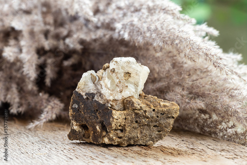 Raw White Aragonite Crystal Mineral Stone on Wood photo