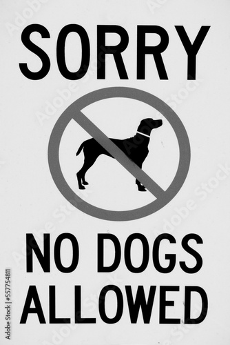 Photography Black and white no dogs allowed sign
