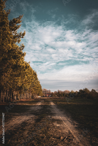 Sunset over farmland and forest