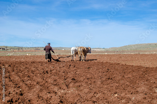 farmer working in the field