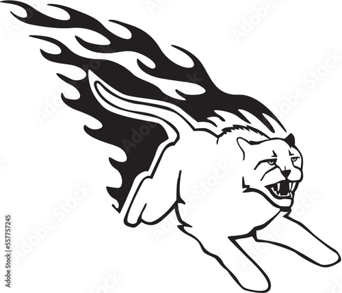 illustration of an eagle