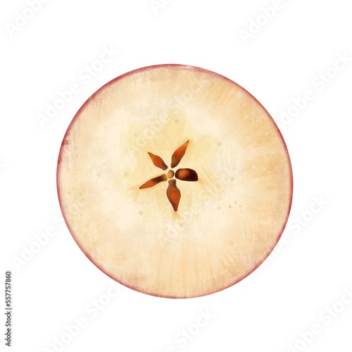 Fototapeta Naklejka Na Ścianę i Meble -  Cut red apple slice with seeds on a white background, digital drawing.