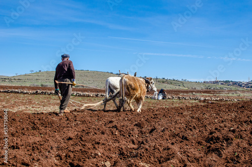 farmer working in the field © fotomey50