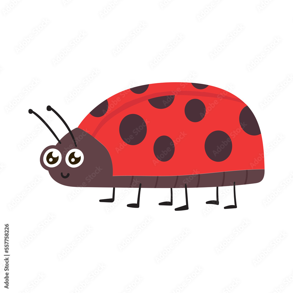 Cartoon ladybug. Cute ladybug, red bug and insect illustration set