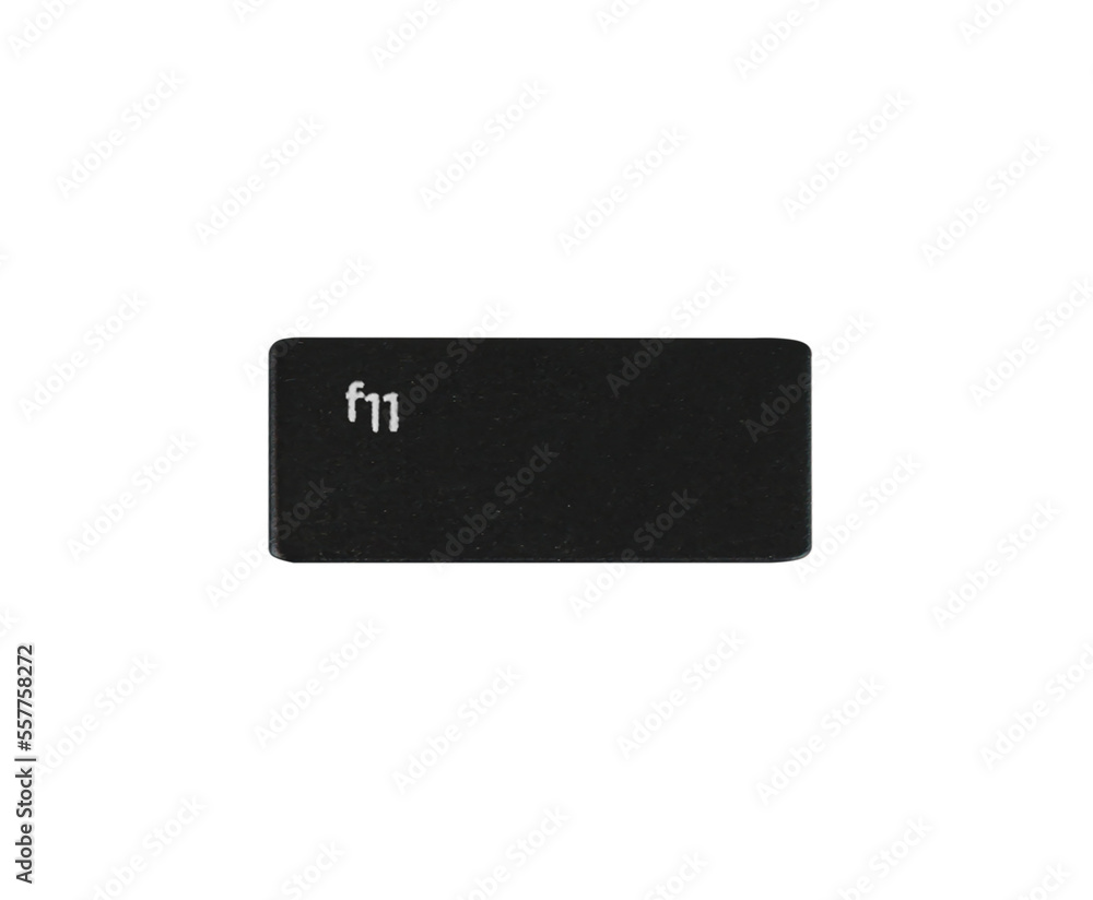 computer keyboard button F11 computer keyboard button F11