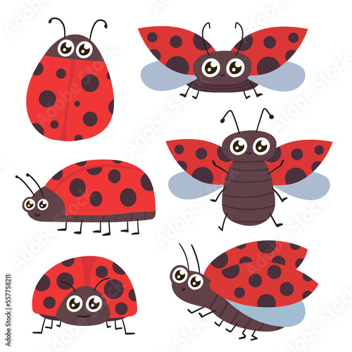 Cartoon ladybug. Cute ladybugs, red bug and insects illustration set. Funny lady bugs. Dotted flying beetle stickers collection on white background