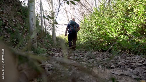 iker man walking by the forest photo