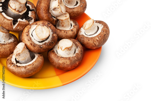 Mushrooms on white. Close-up of mushrooms in a plate isolated on white