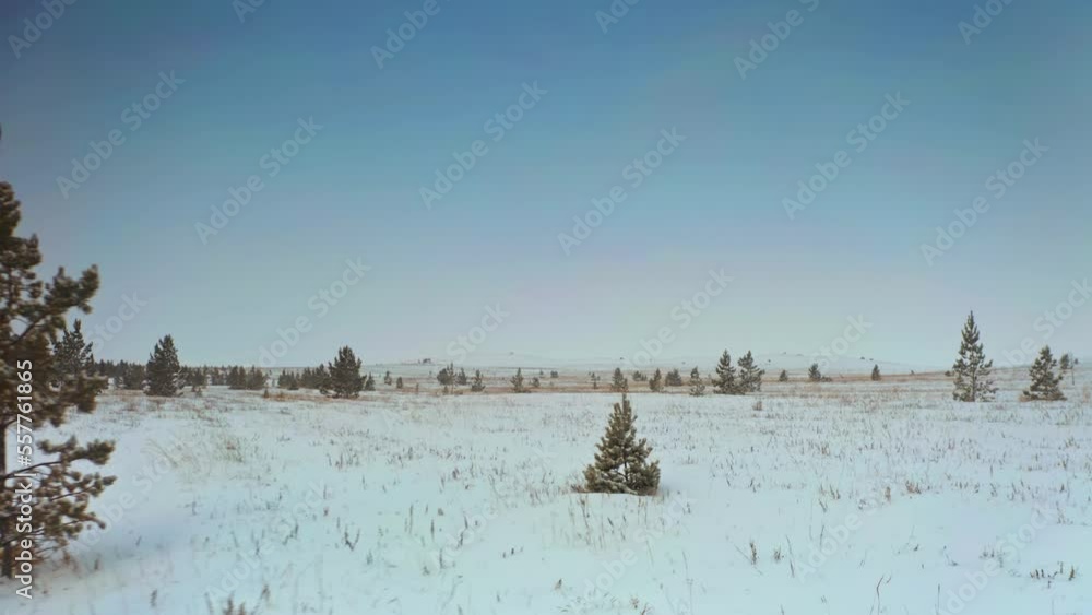 Flying between trees and dry grass in a snow-covered field, overcast, winter, fog, snowfall. Baikal, Siberia, Russia. Drone shooting 4k Flying between trees and dry grass in a snow-covered field, overcast, winter, fog, snowfall. Baikal, Siberia, Russia. Drone shooting 4k