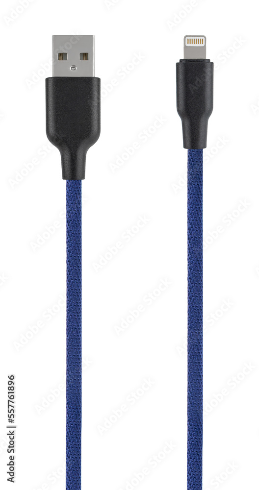 cable with USB and Lightning connector cable with USB and Lightning connector