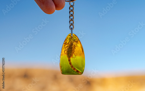 Scorpion dead animal encased in yellow golden resin amber keyring chain hanged by a human hand with macrophotograph selective focus on foreground and blur yellow field and blue sky in background. photo