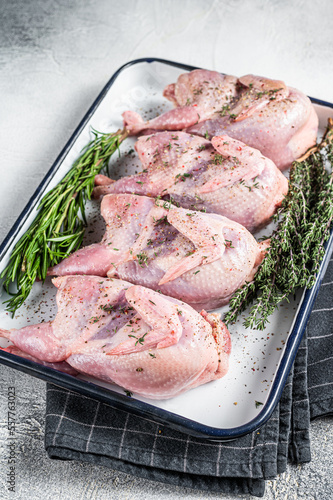 Raw quail meat with spices, garlic and herbs ready to cooking in baking dish. White background. Top view