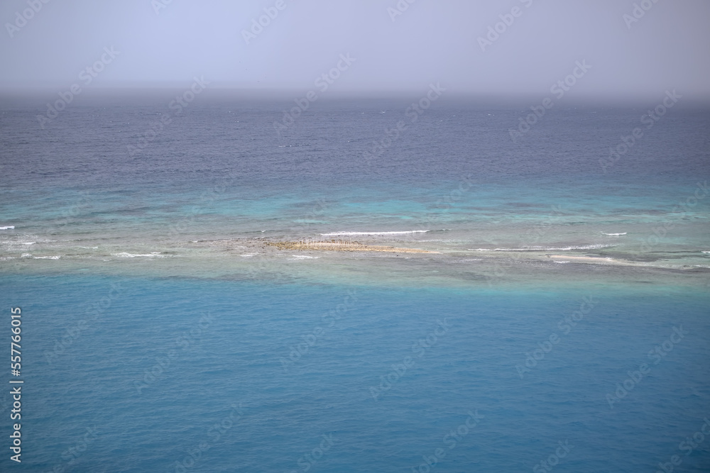 Fototapeta premium Coral Reef