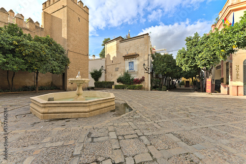 Fountain of the Plaza de la Alianza