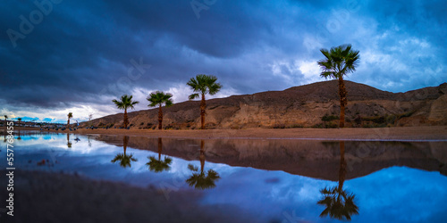 Colorado River Landscape Series at Bullhead Community Park with dramatic cloudscape, palm trees, sandbar, water reflections, birds, and rain, in Bullhead City, Arizona, USA