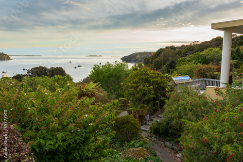 View from Oban and Halfmoon Bay at Stewart Island, New Zealand photo