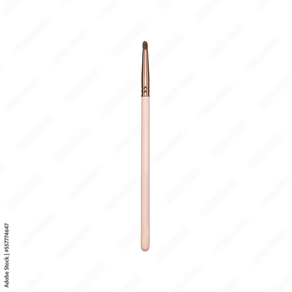 brush brush