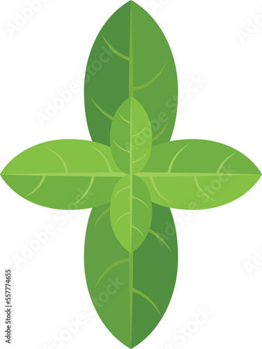 Basil leaves icon flat vector. Herb plant. Leaf spice isolated