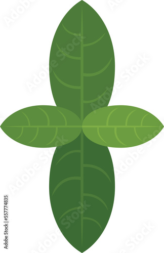 Basil plant icon flat vector. Leaf herb. Cooking food isolated