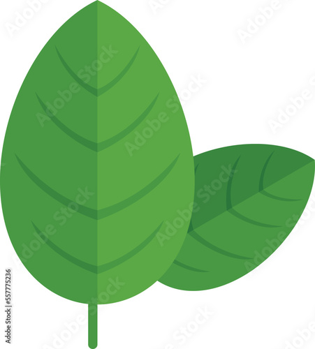Basil spice leaf icon flat vector. Herb plant. Cooking aromatic isolated