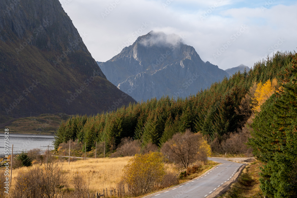 Scenic road on Lofoten islands surrounded by mountains in autumn day, Lofoten Islands, Norway