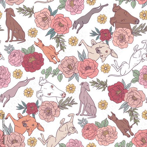 Greyhound dogs and peony flowers. Seamless pattern with outline vector hand drawn illustrations with tattoo style