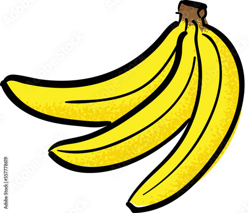 Banana hand drawn vector illustration.  Artsy banana fruit graphic.