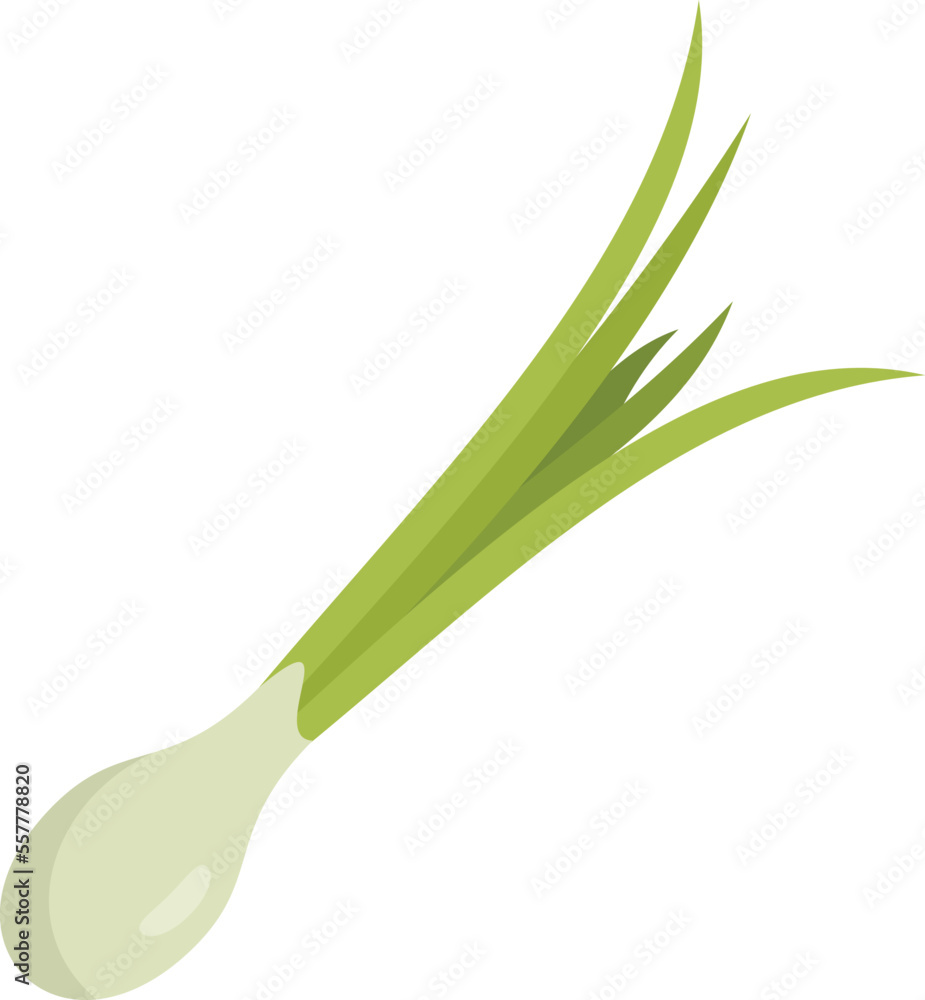 Chive basil icon flat vector. Fresh onion. Herb leek isolated Chive basil icon flat vector. Fresh onion. Herb leek isolated