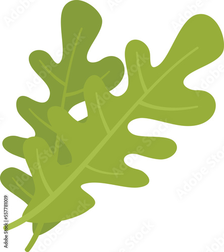 Rocket rucola icon flat vector. Arugula salad. Leaf plant isolated