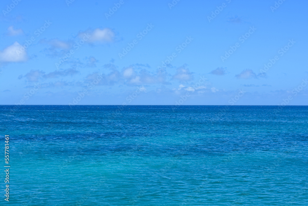 Obraz premium Azure Caribbean sea meets blue sky. Space for copy. 