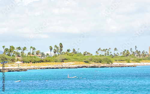 Tourists snorkeling offshore Aruba  Caribbean sea.