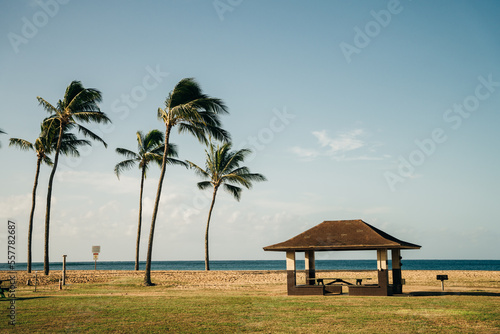 Salt Pond Beach Park, Kauai, hawaii - dec 2022 photo