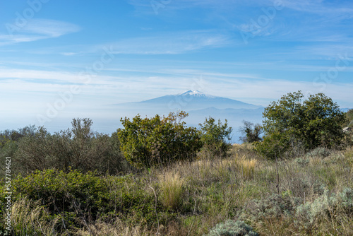 trees in the mountains , Etna volcano in background
