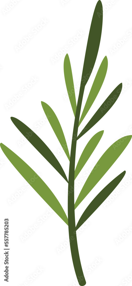 Fototapeta premium Rosemary leaf icon flat vector. Leaves plant. Green food isolated