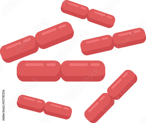 Fermentation probiotic icon flat vector. Gut bacteria. Healthy intestine isolated