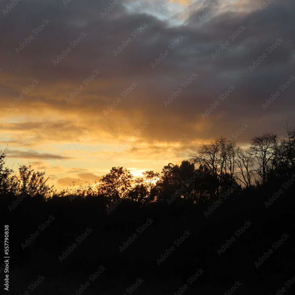 sunset in the field