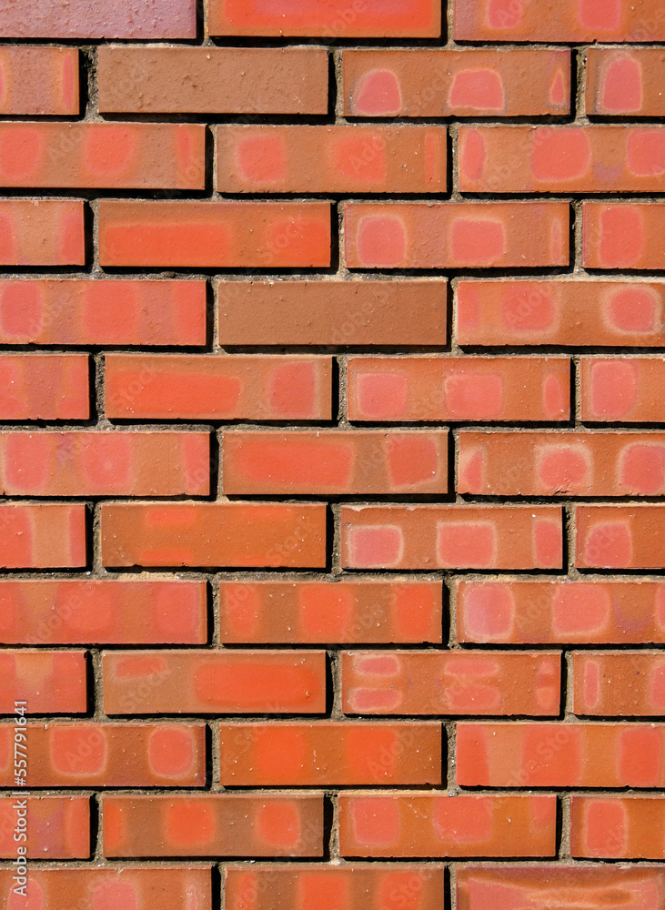Obraz premium 赤レンガ壁【縦】