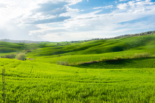 Green hills of the Tuscany countryside   Italy